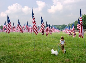 Field of Flags at Kennesaw Mountain 9-11 Anniversary