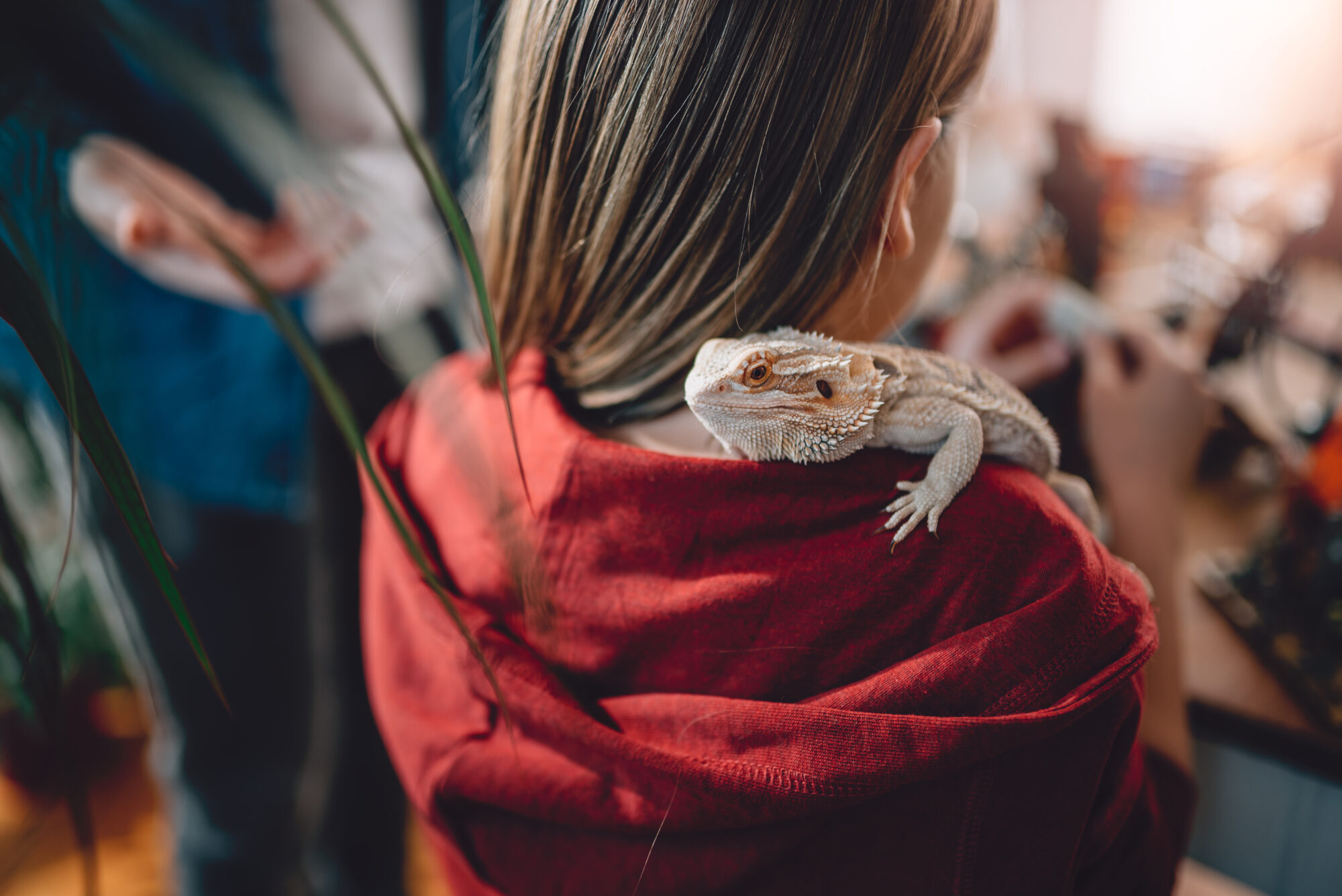 Lizard on girls shoulder.