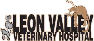 Leon Valley Veterinary Hospital