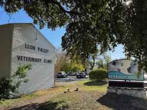 Leon Valley Veterinary Hospital 